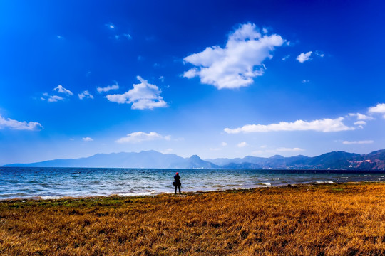 湖泊湿地