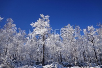 林海雪原