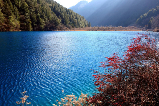 九寨沟老虎海