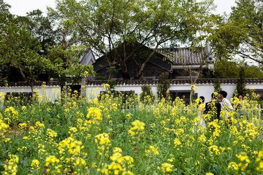 宋隆小镇 仿古建筑