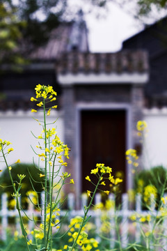 宋隆小镇 仿古宅院