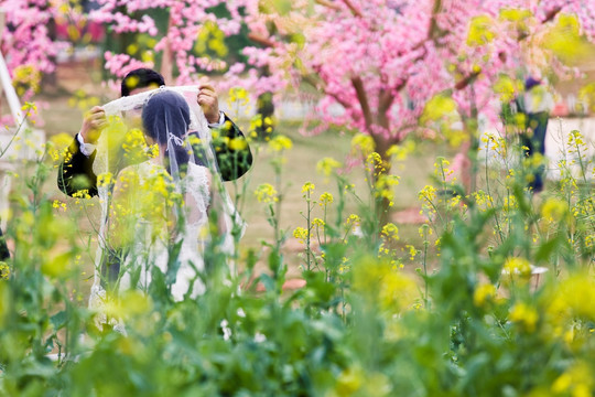 油菜花 婚纱摄影素材