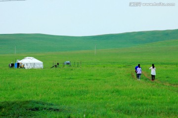 夏季的草原蒙古包