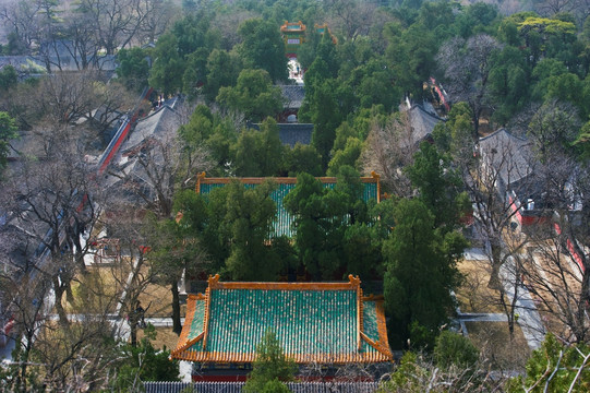 北京西山卧佛寺