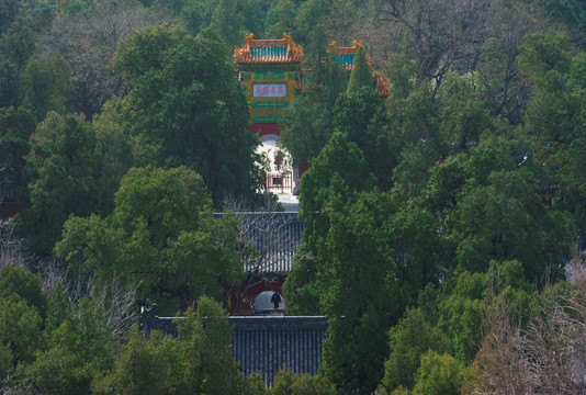 北京西山卧佛寺