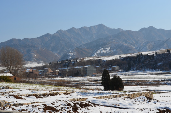 乡村雪景