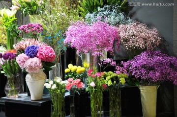 花店里的各式花卉