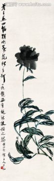 齊白石 花