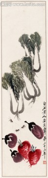 白菜 蘿卜 茄子