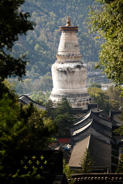 五台山 塔院寺白塔