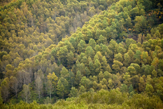 秋色五台山