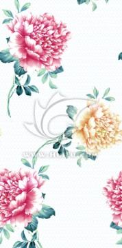 花卉