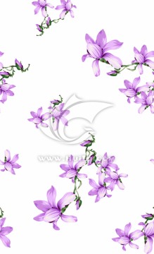 花卉