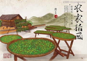 山珍干菜插畫