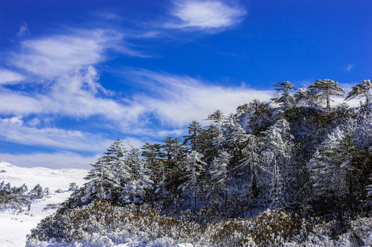 昆明轿子雪山