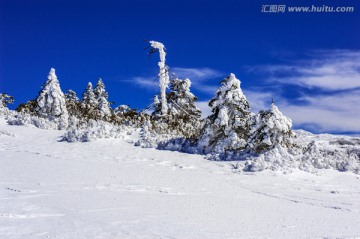 昆明轿子雪山