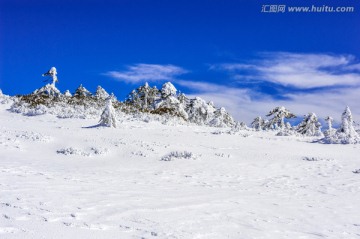 昆明轿子雪山