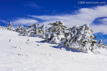 昆明轿子雪山