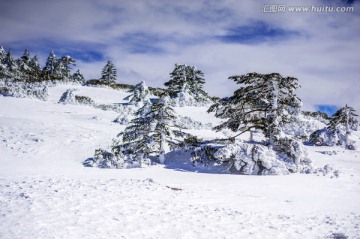 昆明轿子雪山