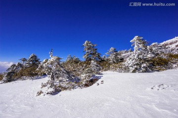 昆明轿子雪山