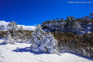 昆明轿子雪山