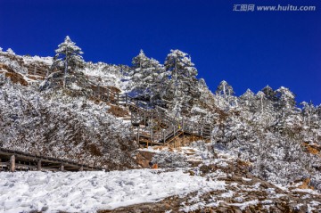 昆明轿子雪山