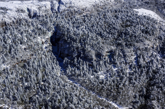 昆明轿子雪山