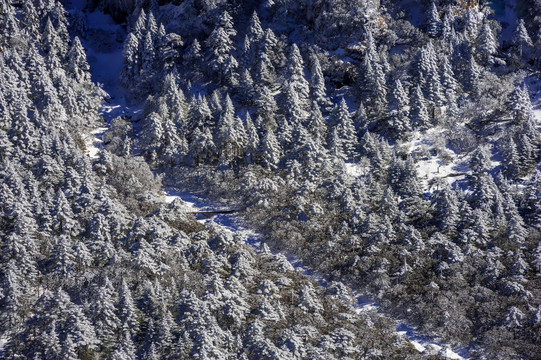 花溪 昆明轿子雪山