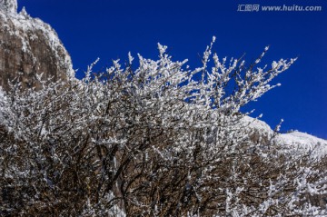 雪景 昆明轿子雪山