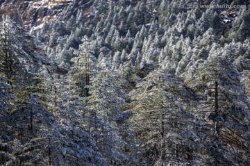 昆明轿子雪山