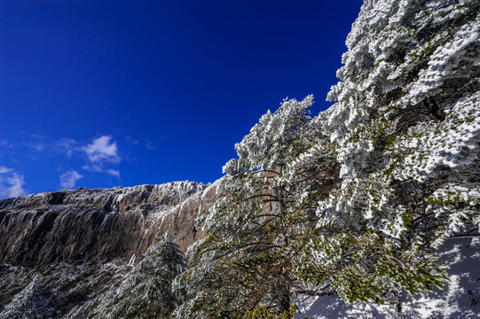 昆明轿子雪山