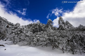 昆明轿子雪山