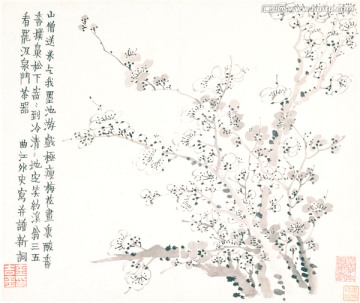 清 金農(nóng) 梅花圖冊(cè)頁(yè)大都會(huì)