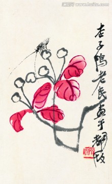 花鳥昆蟲