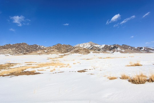 雪原