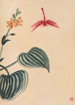 蜻蜓