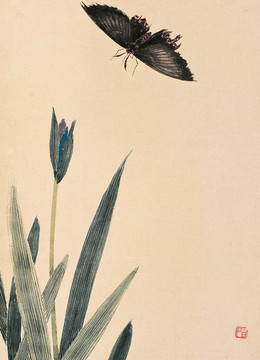 蝴蝶與鮮花
