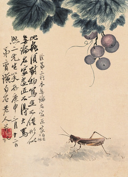 葡萄與昆蟲