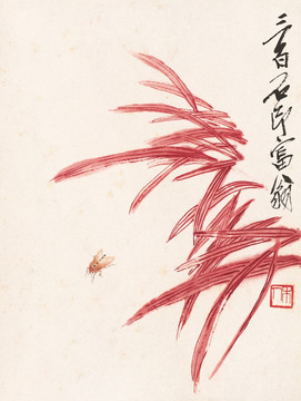 昆蟲
