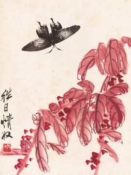 蝴蝶與花