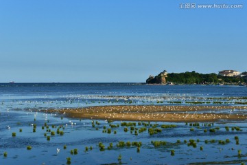 大海