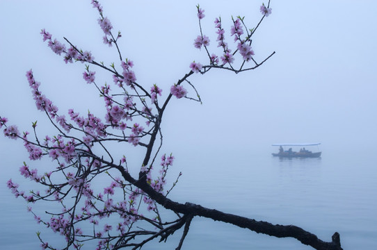 桃花湖泊