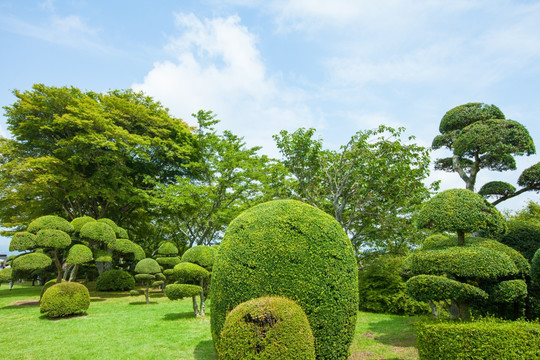 日本平和公园 日本园林园艺