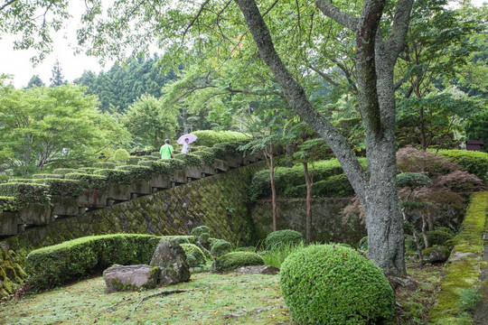 日本平和公园 日本园林园艺