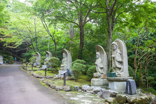 日本平和公园 日本园林园艺