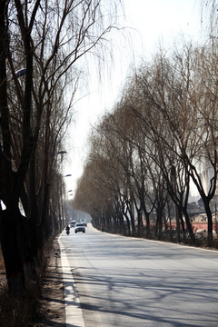 冬日的道路