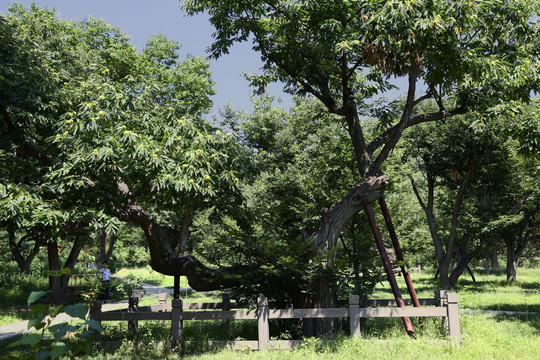 黄花城水长城风景区