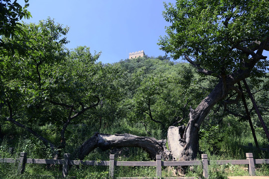 黄花城水长城风景区