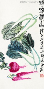 白菜蘿卜