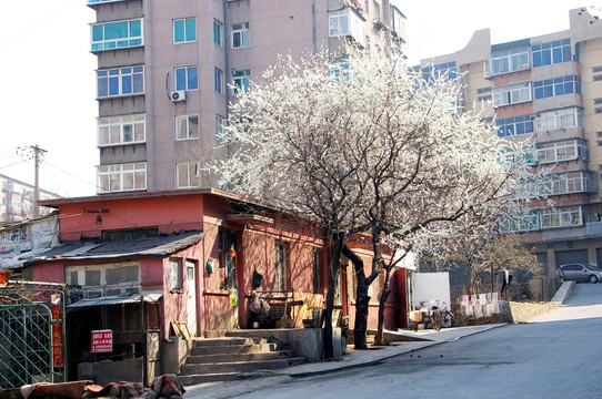 城市街景